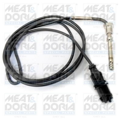 Sensor, exhaust gas temperature